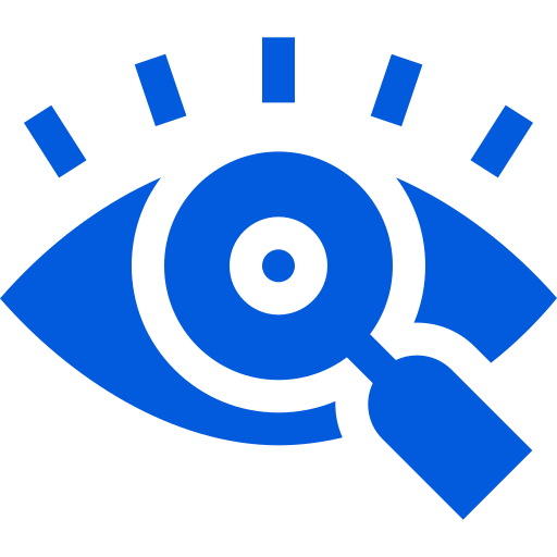 Vision